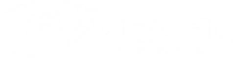 Voxel Drone