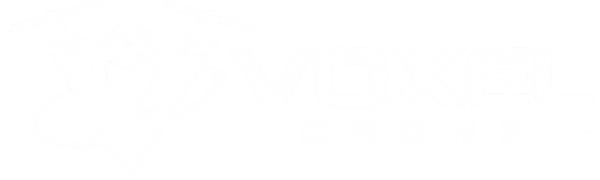 Voxel Drone